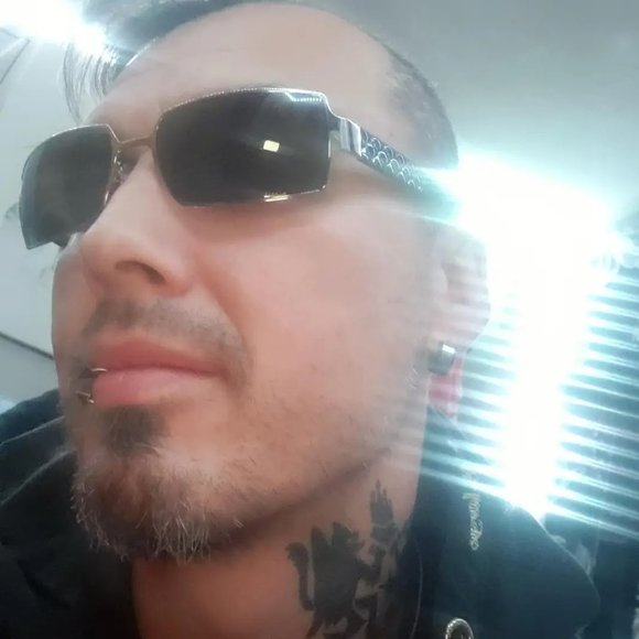 Meet your Posher, The Dirty Grey Fox - Picture 1 of 1